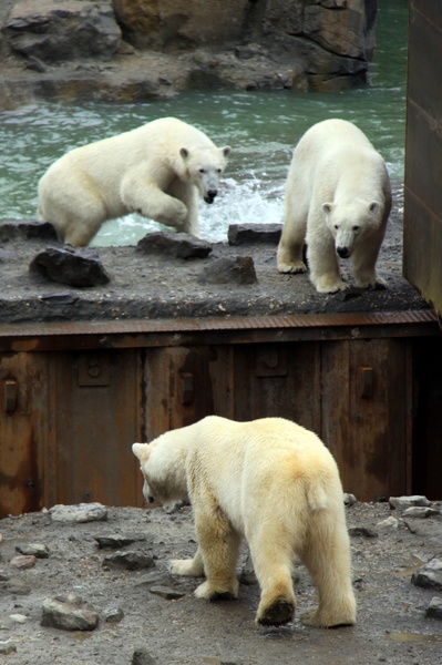 Yukon Bay   065.jpg